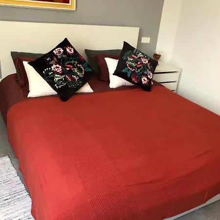 Estrella Centro Apartment *